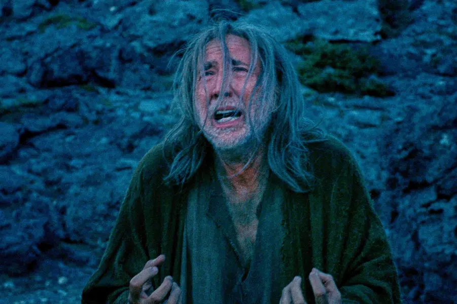 این تصویر منتشر شده توسط Magnolia Pictures، نیکلاس کیس را در صحنه‌ای از «پسر نجار» نشان می‌دهد. (Magnolia Pictures از طریق AP)